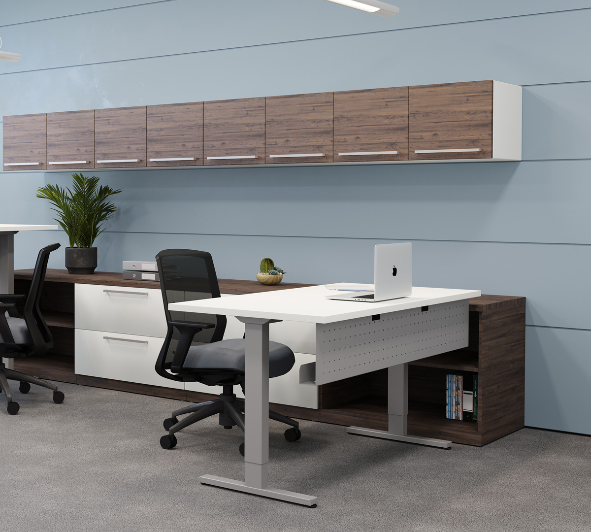 Hike Electric Base | Height Adjustable | Special-T 